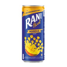 라니 플로트 RANI FLOAT 두바이 과즙 음료 망고맛, 1개, 240ml