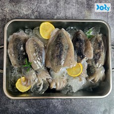 국내산 급냉 갑오징어 1kg 4-6미 오징어숙회 오징어볶음, 1개, 1kg (4-6미)