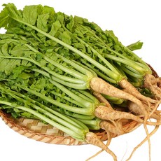 아삭한 생 열무 2kg 당일수확 농장직송, 1개