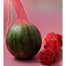 과일 보호망 수박 온실 메쉬 나일론 망 애플수박 호박 낙하방지 농사용 1. 35cm 빨강 100개 로프-두꺼움, 2. 40cm 빨강 100개 로프-두꺼움