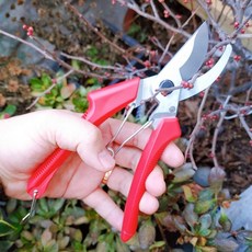 국산 SK5 고강도 스틸 원예 전지가위, 1개