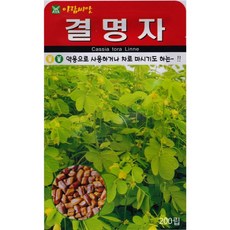 영농사 결명자 씨앗 200립 결명자씨, 5개