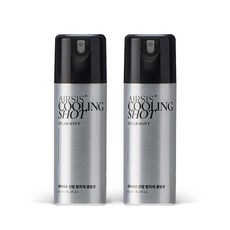 에어시스 휴대용 신발 탈취제 스피어민트향, 160ml, 2개