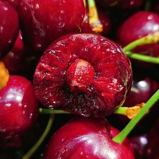 [항공직송] 지팜 미국산 칠레산 생체리 칠레 직수입, 1개, 지팜 체리 특대과(9.5R) 300g