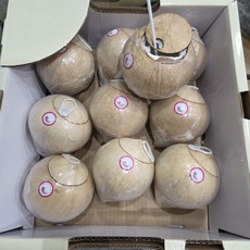 안안 이지 코코넛 원터치, 1개, 500g