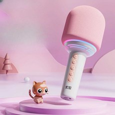 가수 마이크 댄스 안무 아이돌 데뷔 연습생, 1개, 핑크 마이크