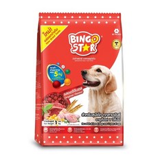 BOWWOW 軟飼料 BINGO STAR 高蛋白 犬糧 300g, 1個