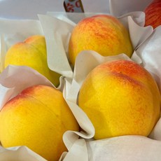 청담농수산 산지직송 고당도 황도 복숭아, 1개, 1kg 중대과 (정품)