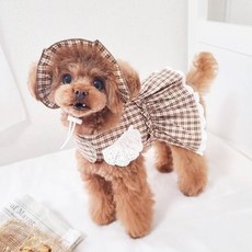 新款狗狗貓寵物連衣裙加帽子 春夏貓咪公主生日裝, 連衣裙+帽子（不含牽引繩）,XL, 1個