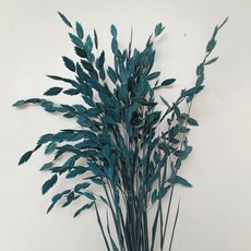 小盼草永生花真花幹花雲南工廠材料家居裝飾, 暗藍色（吸色10支)