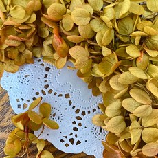 VITO zakka 木繡球永生花DIY乾燥花植物浮游花材花藝材料包拍攝道具DIY創作花材20g, 秋收(黃綠色噴上橙色)(現貨)