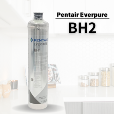Pentair Everpure BH2抑菌軟垢型家用濾心 美國原裝進口 平行輸入品, BH2, 1個