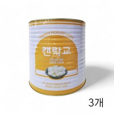 대용량 락교장아찌 9kg 세트 이엔푸드 락교 SS, 3kg, 1세트