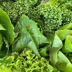 유러피안샐러드 800g, 없음, 상세설명 참조, 없음