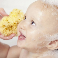 [뷰티풀스킨] 아기목욕용 천연해면스펀지 그리스지중해산 최상급파인실크, 아기목욕용 미디엄해면, 1개