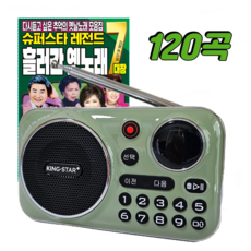 킹스타 효도라디오 K-202 흘러간 옛노래 120곡 포함 레전드 가수 7대장 충전기 포함, 그린+명가수120곡