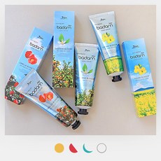 제주사월 바담핸드크림 3종세트 유채 감귤 동백 제주여행선물 사무실선물 감성소품샵 기념품 특산품, 1개