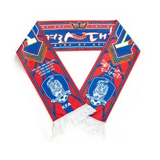 붉은악마머플러 축구머플러 응원스카프 월드컵머플러 즐겨라대한민국KOREA스카프2, 1개