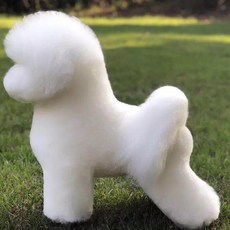 寵物美容師練習仿真比熊犬模型：全身毛髮、骨骼結構，寵物剪毛/剃毛/修毛練習，學校教學適用, 1個, 比熊頭毛一個（不含模型0.5