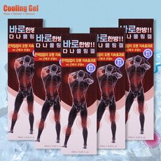 바로한방 다나쿨링겔 120ml 운동전후 시원한 냉찜질 Relax Refresh Cooling Gel, 5개