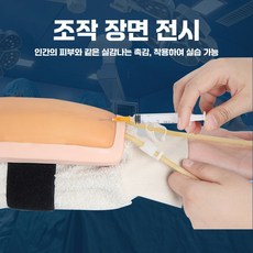 정맥주사 연습용 인공 혈관 피부 주사 IV 주사기 간호사 혈관주사 실습용 세트 포함+혈액, 1세트