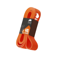 天天GO 健身拉力繩 橘色115磅 送收納袋 基礎教學說明書, 橘, 1個