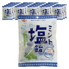 Nissin Confectionery 민트 소금 캔디, 24개, 80g