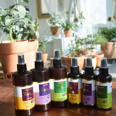 다육경 플러스 150g 다육이 영양 살충 살균 천연 식물액 벌레기피제 벌레약 해충방지제 벌레살충, 다육경 벌레퇴치제 150g(녹색), 1개