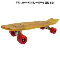 전문가용 스트리트 소형 바퀴보드 여행용 피쉬보드 스쿠터 제품 싱글 청소년보드 4륜 청소년 크루저보드 초보자용 보드, GCL10080438, VCL10080438, 13.작은 생선 접시 59cm 투명 노란색