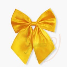 늘여섯 리본 타이 옐로우 남아보타이