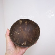 手工椰子碗 越南椰木餐具 環保沙拉碗 甜點燕麥碗, 1個, 椰子碗（大）500ml 一個