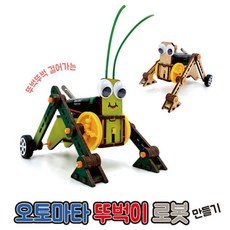 프로 오토마타 뚜벅이 로봇 만들기, 1개