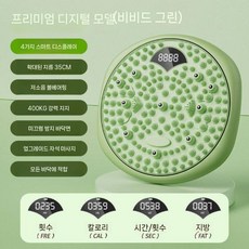 스트레칭 지압 트위스터 발마사지 회전운동 허리 운동기구, 그린 스마트 모델 - 허리 비틀기 지압판  스마트 계산