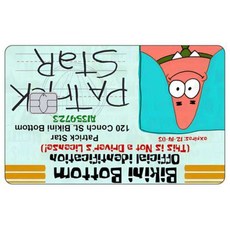 카툰 운전면허증 신용카드 스킨 패트릭 스타 스티커 패치 은행카드 무광 데칼 장식 선물, Small Chip, 9 1PCS