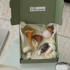 Shinymomo 創意法式蘑菇筷子架 樹脂擺件, 6個小蘑菇餐具架 夏綠色禮盒裝, 1個