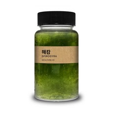 초등학교 실험 관찰생물 녹조류 해캄 100ml 1(개) 4969 PCS