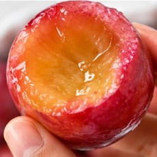 경산 와촌자두 노지 자두 과즙가득 제철 생자두, 1박스, 대과 2kg