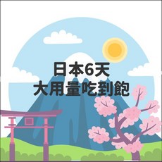 PIGWIFI 日本網卡 25天無限流量吃到飽 SIM卡, 6天