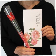 조화 꽃 장식 지폐 보관 종이 봉투 세트 축하 감사 전달 기념 선물 포장 용품, 1개, 상세페이지 참조