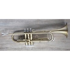 Chateau 雅典樂器世界 台灣製 砂金仿古 雙水門 小號, 1個