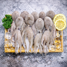 산지직송 국내산 생물 알쭈꾸미 신선 쭈꾸미 알꽉찬 제철별미 추천, 1개, 3kg