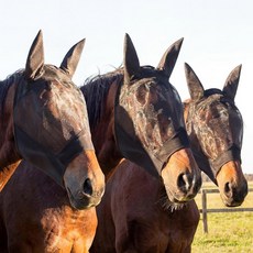 써니무브 3종 더비 데이 블랙 메시 말 플라이 마스크 긴 코와 귀 액세서리 부드러운 신축성 자외선 차단 기능 레이싱 페스티벌 대회용