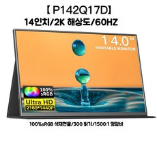 휴대용 모니터 미러링 서브 보조모니터 슬림한디자인 회의실 15.6인치 14인치, 14인치-2K(P142Q17D)