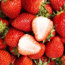 초특가 산지직송 논산 고당도 설향딸기, 1박스, 900g