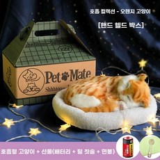 오아모먼트 팡쿠 숨쉬는고양이인형 귀여운 고양이 3종 장식 야옹이, 1개, E. 호흡 버전 주황색 고양이 + 골판지 상자 운반 숨