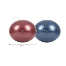 짐볼 뭉친근육푸는도구 파스텔 75cm 피트니스볼 스트레칭짐볼 근육이완볼 요가 자세, 루비와인