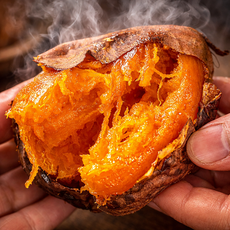 [2주60%특가쿠폰] 초초특가 해남고구마 벌꿀단맛 꿀고구마, 1박스, 3kg(한입)