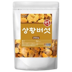국산 상황버섯 250g 국내산 100% 버섯 건강차 베타글루칸 폴리페놀 선물, 1개, 250