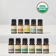 쏘이지 천연 유기농 에센셜 아로마 오일 10ml 허브 숙면, 페퍼민트, 1개