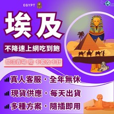 世界之網 Etisalat 電信 埃及上網卡 隨插即用 不斷網, 埃及2天-關注按讚送卡針套️,每天1GB用完降速